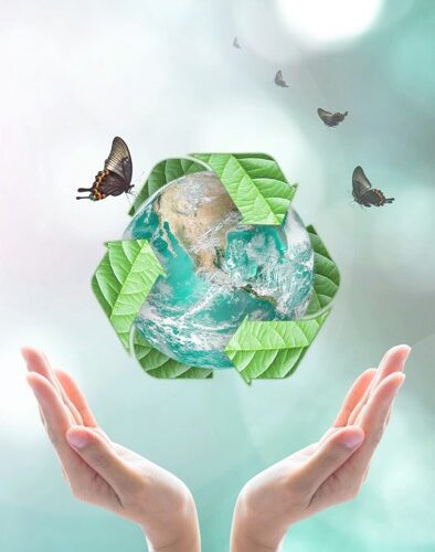 waste management waste management